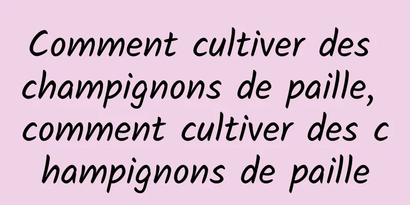 Comment cultiver des champignons de paille, comment cultiver des champignons de paille