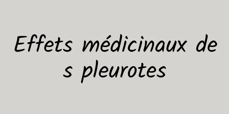 Effets médicinaux des pleurotes