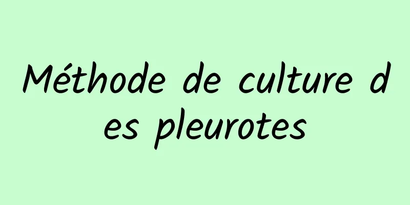 Méthode de culture des pleurotes