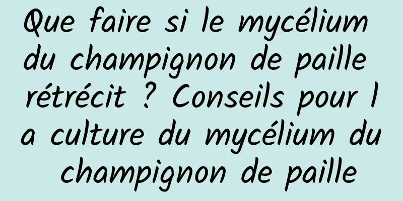 Que faire si le mycélium du champignon de paille rétrécit ? Conseils pour la culture du mycélium du champignon de paille