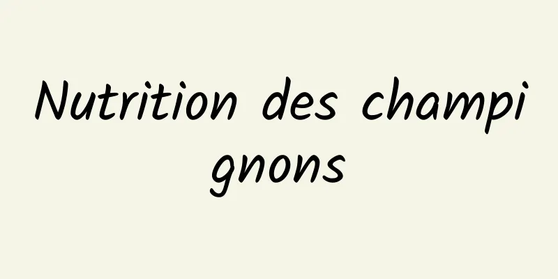 Nutrition des champignons