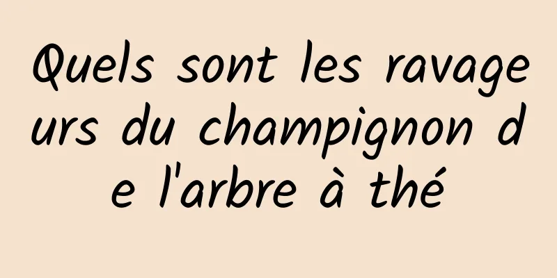 Quels sont les ravageurs du champignon de l'arbre à thé