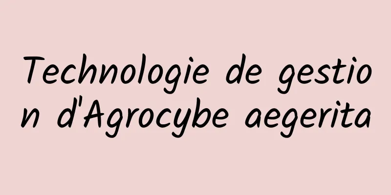 Technologie de gestion d'Agrocybe aegerita