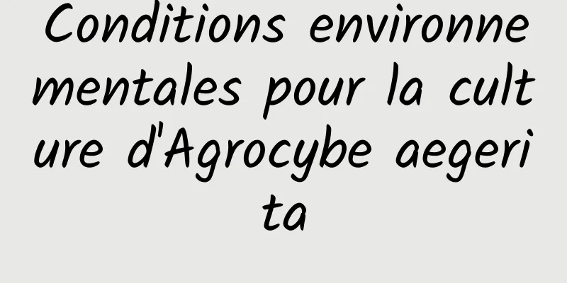 Conditions environnementales pour la culture d'Agrocybe aegerita