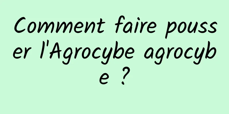 Comment faire pousser l'Agrocybe agrocybe ?