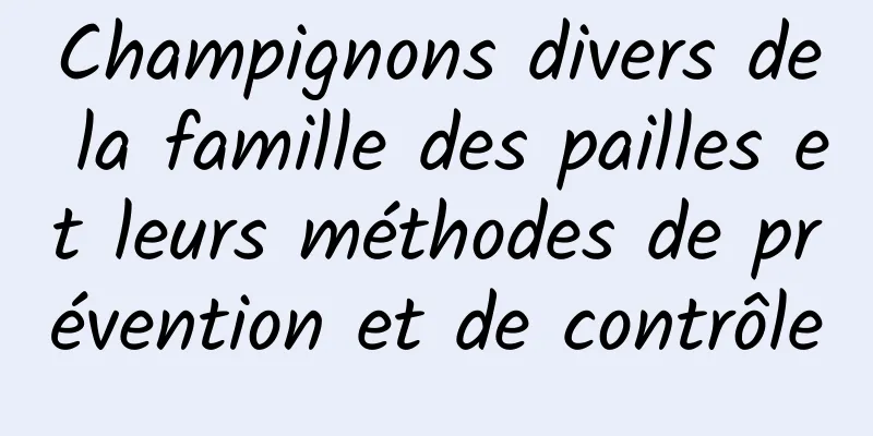 Champignons divers de la famille des pailles et leurs méthodes de prévention et de contrôle