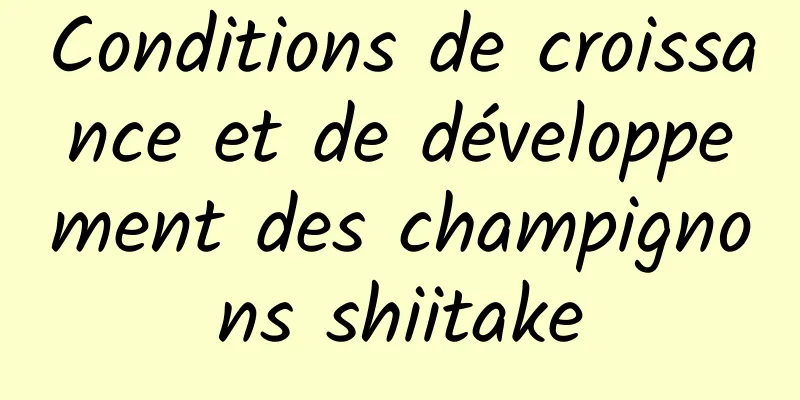 Conditions de croissance et de développement des champignons shiitake