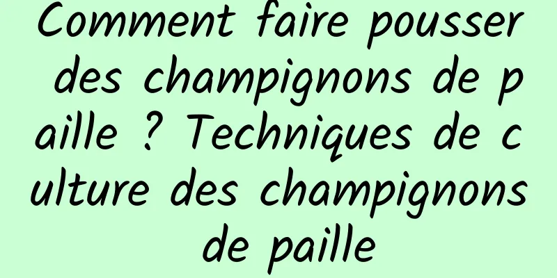 Comment faire pousser des champignons de paille ? Techniques de culture des champignons de paille