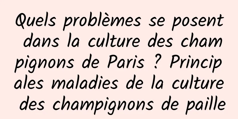 Quels problèmes se posent dans la culture des champignons de Paris ? Principales maladies de la culture des champignons de paille