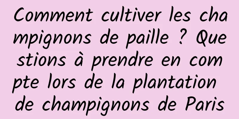 Comment cultiver les champignons de paille ? Questions à prendre en compte lors de la plantation de champignons de Paris