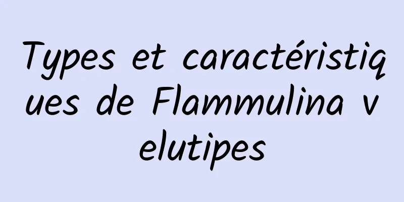 Types et caractéristiques de Flammulina velutipes