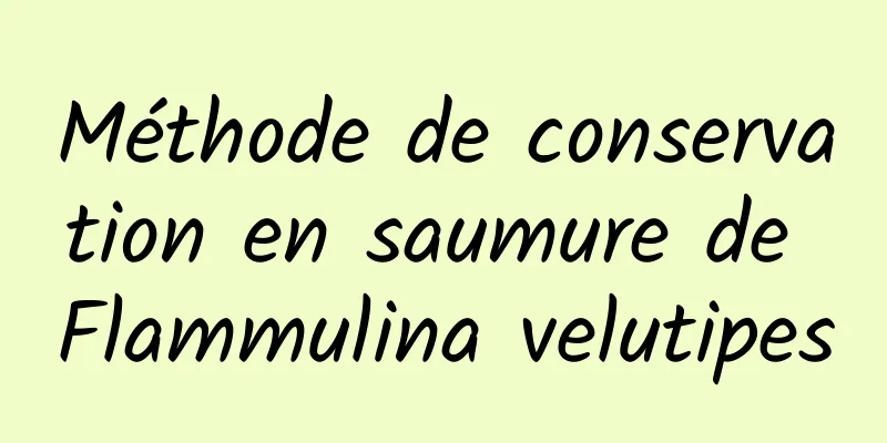 Méthode de conservation en saumure de Flammulina velutipes