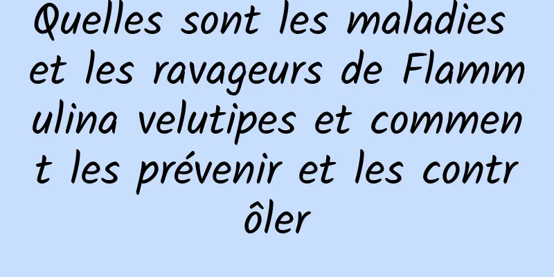 Quelles sont les maladies et les ravageurs de Flammulina velutipes et comment les prévenir et les contrôler