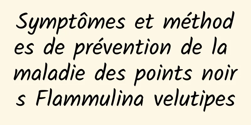 Symptômes et méthodes de prévention de la maladie des points noirs Flammulina velutipes