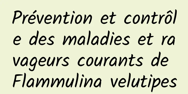 Prévention et contrôle des maladies et ravageurs courants de Flammulina velutipes