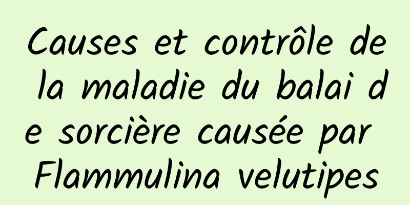 Causes et contrôle de la maladie du balai de sorcière causée par Flammulina velutipes