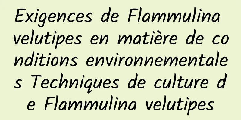 Exigences de Flammulina velutipes en matière de conditions environnementales Techniques de culture de Flammulina velutipes