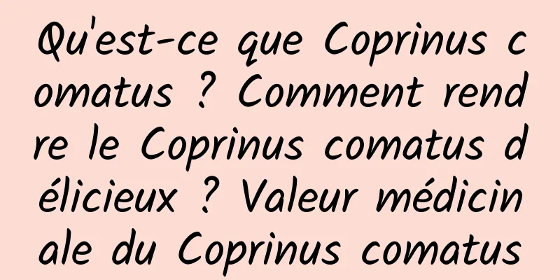 Qu'est-ce que Coprinus comatus ? Comment rendre le Coprinus comatus délicieux ? Valeur médicinale du Coprinus comatus