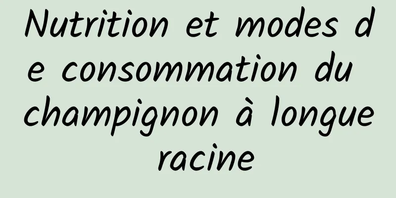 Nutrition et modes de consommation du champignon à longue racine