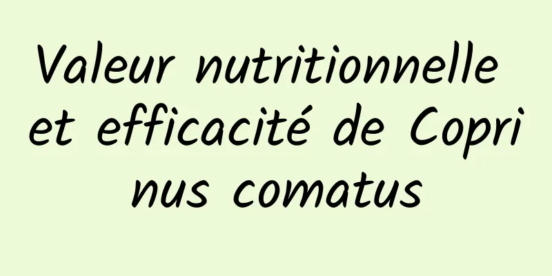 Valeur nutritionnelle et efficacité de Coprinus comatus