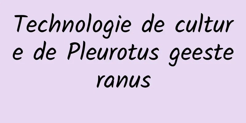 Technologie de culture de Pleurotus geesteranus