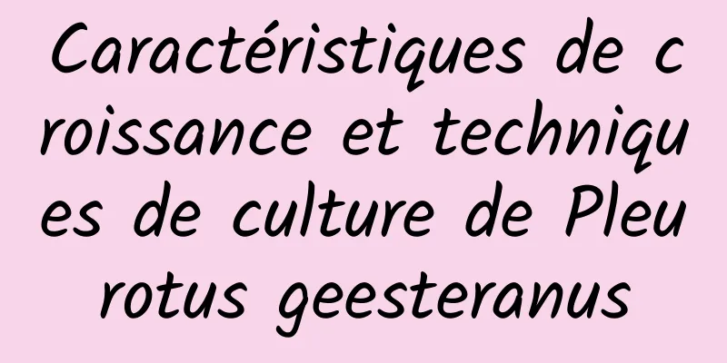 Caractéristiques de croissance et techniques de culture de Pleurotus geesteranus