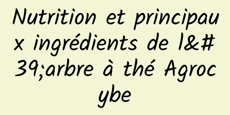 Nutrition et principaux ingrédients de l'arbre à thé Agrocybe