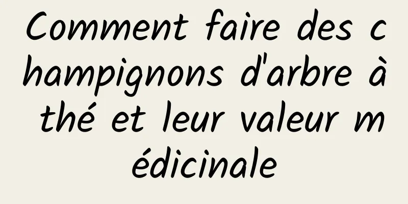 Comment faire des champignons d'arbre à thé et leur valeur médicinale