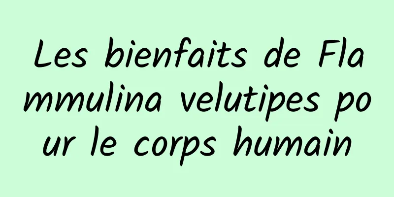 Les bienfaits de Flammulina velutipes pour le corps humain