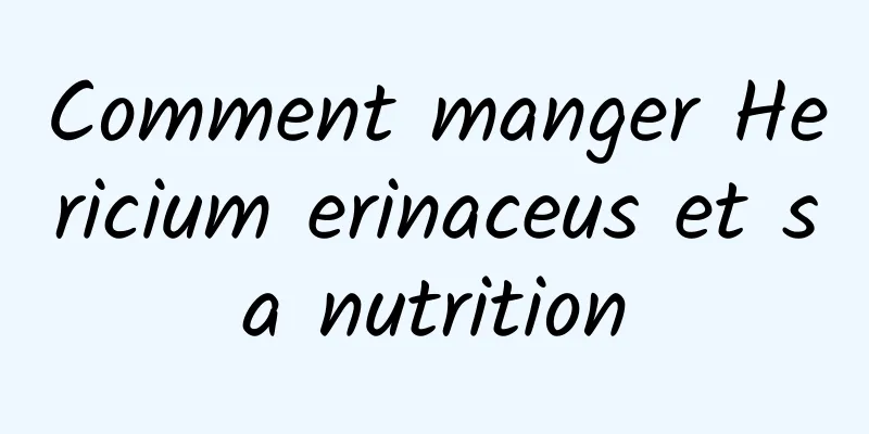 Comment manger Hericium erinaceus et sa nutrition