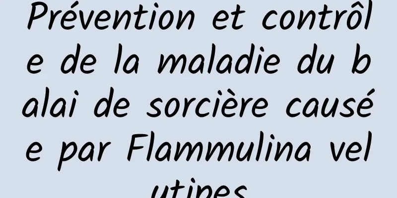 Prévention et contrôle de la maladie du balai de sorcière causée par Flammulina velutipes