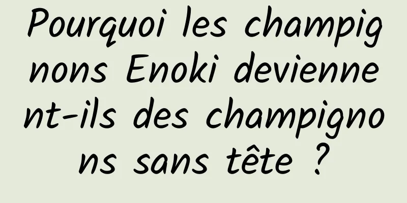 Pourquoi les champignons Enoki deviennent-ils des champignons sans tête ?