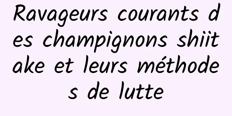 Ravageurs courants des champignons shiitake et leurs méthodes de lutte