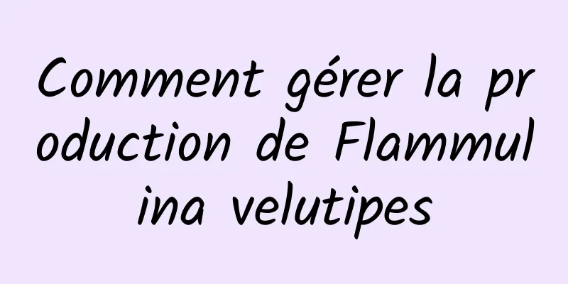 Comment gérer la production de Flammulina velutipes