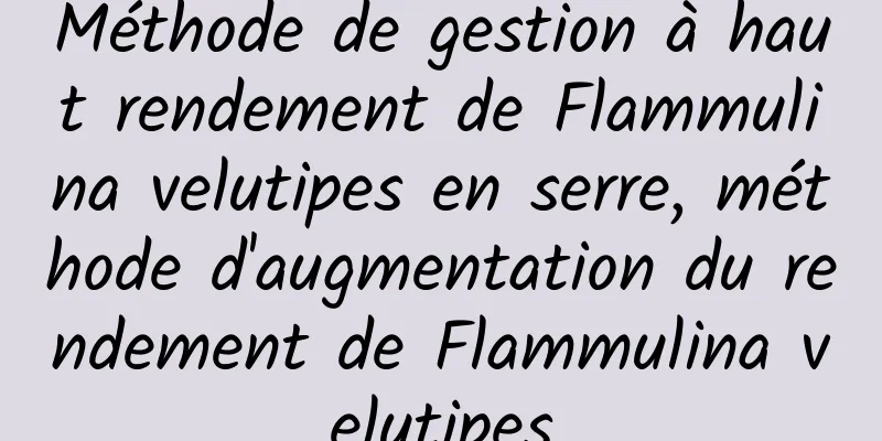 Méthode de gestion à haut rendement de Flammulina velutipes en serre, méthode d'augmentation du rendement de Flammulina velutipes