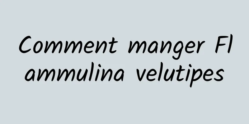 Comment manger Flammulina velutipes