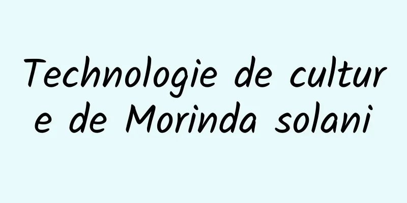 Technologie de culture de Morinda solani