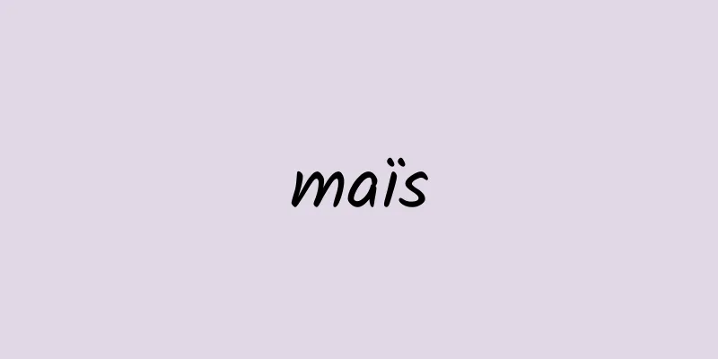 maïs