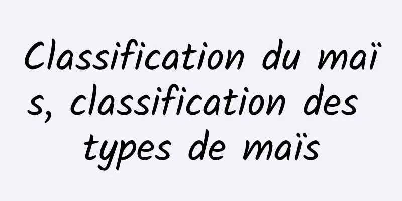 Classification du maïs, classification des types de maïs