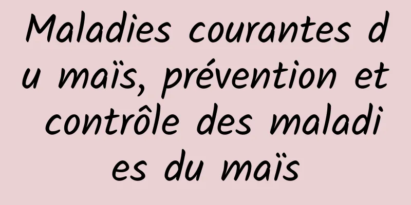 Maladies courantes du maïs, prévention et contrôle des maladies du maïs