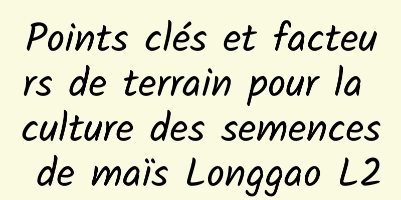 Points clés et facteurs de terrain pour la culture des semences de maïs Longgao L2