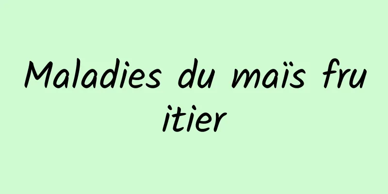 Maladies du maïs fruitier