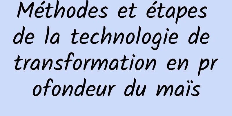 Méthodes et étapes de la technologie de transformation en profondeur du maïs