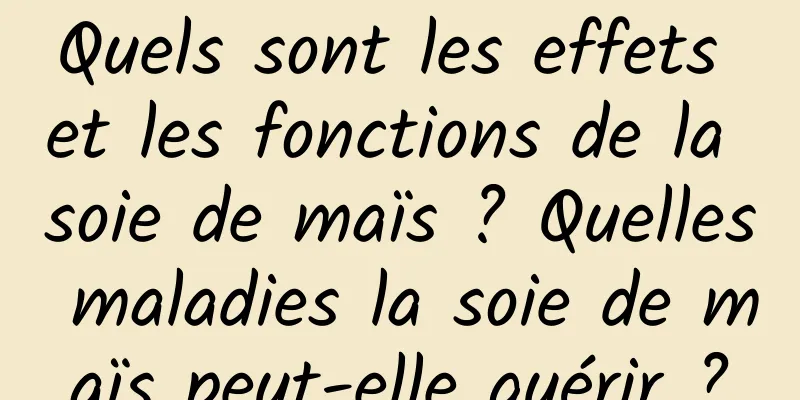 Quels sont les effets et les fonctions de la soie de maïs ? Quelles maladies la soie de maïs peut-elle guérir ?