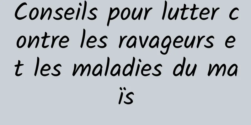 Conseils pour lutter contre les ravageurs et les maladies du maïs