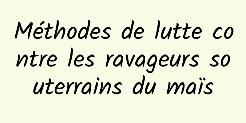 Méthodes de lutte contre les ravageurs souterrains du maïs