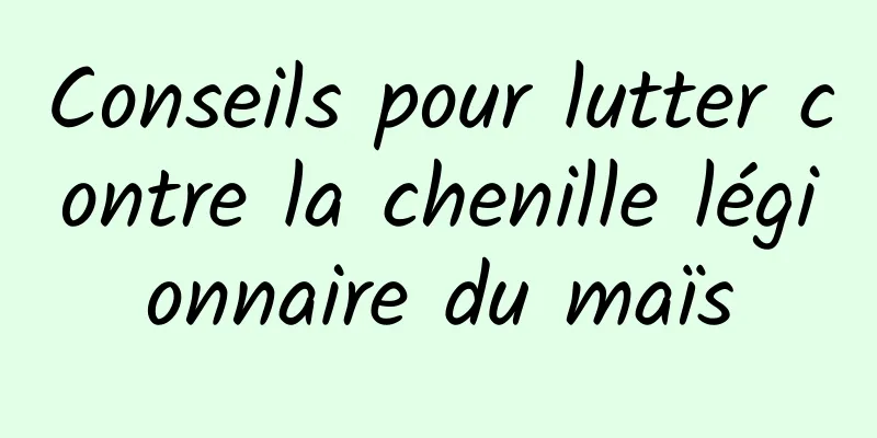 Conseils pour lutter contre la chenille légionnaire du maïs