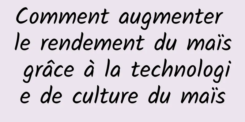 Comment augmenter le rendement du maïs grâce à la technologie de culture du maïs