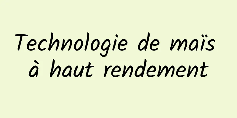 Technologie de maïs à haut rendement