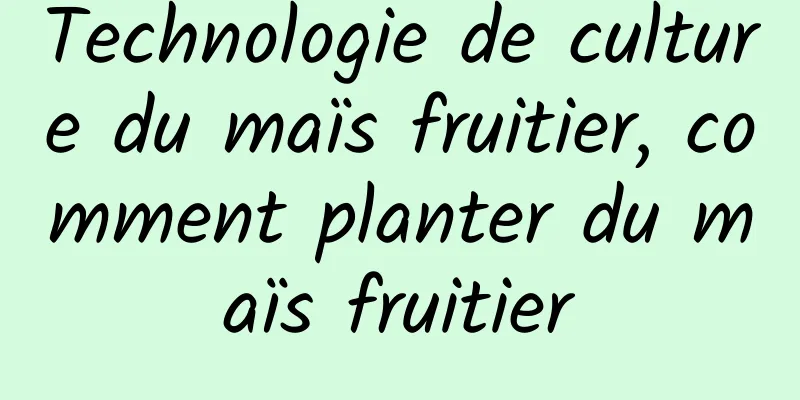 Technologie de culture du maïs fruitier, comment planter du maïs fruitier